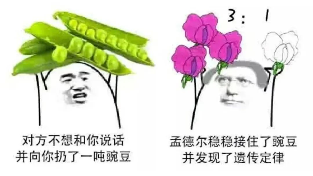 悲剧！卡梅学霸GPA暴跌毕业前自杀！这15个最难学的美本专业，越读越崩溃……