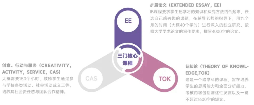 公认最难的IB课程学什么？一文课程带你了解IB体系