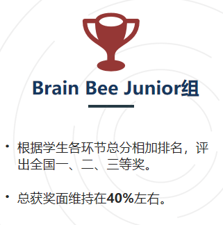 零基础小白进！BrainBee 脑科学大赛几年级参加？含金量/竞赛内容/辅导课程···