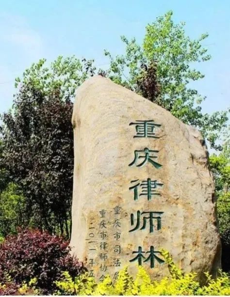 2025西南政法大学2+2雷丁大学马来西亚分校项目