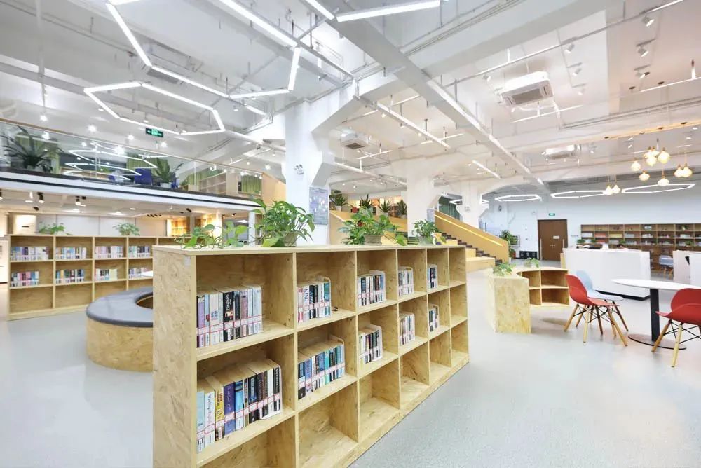 深圳国际学校｜实验A-LEVEL