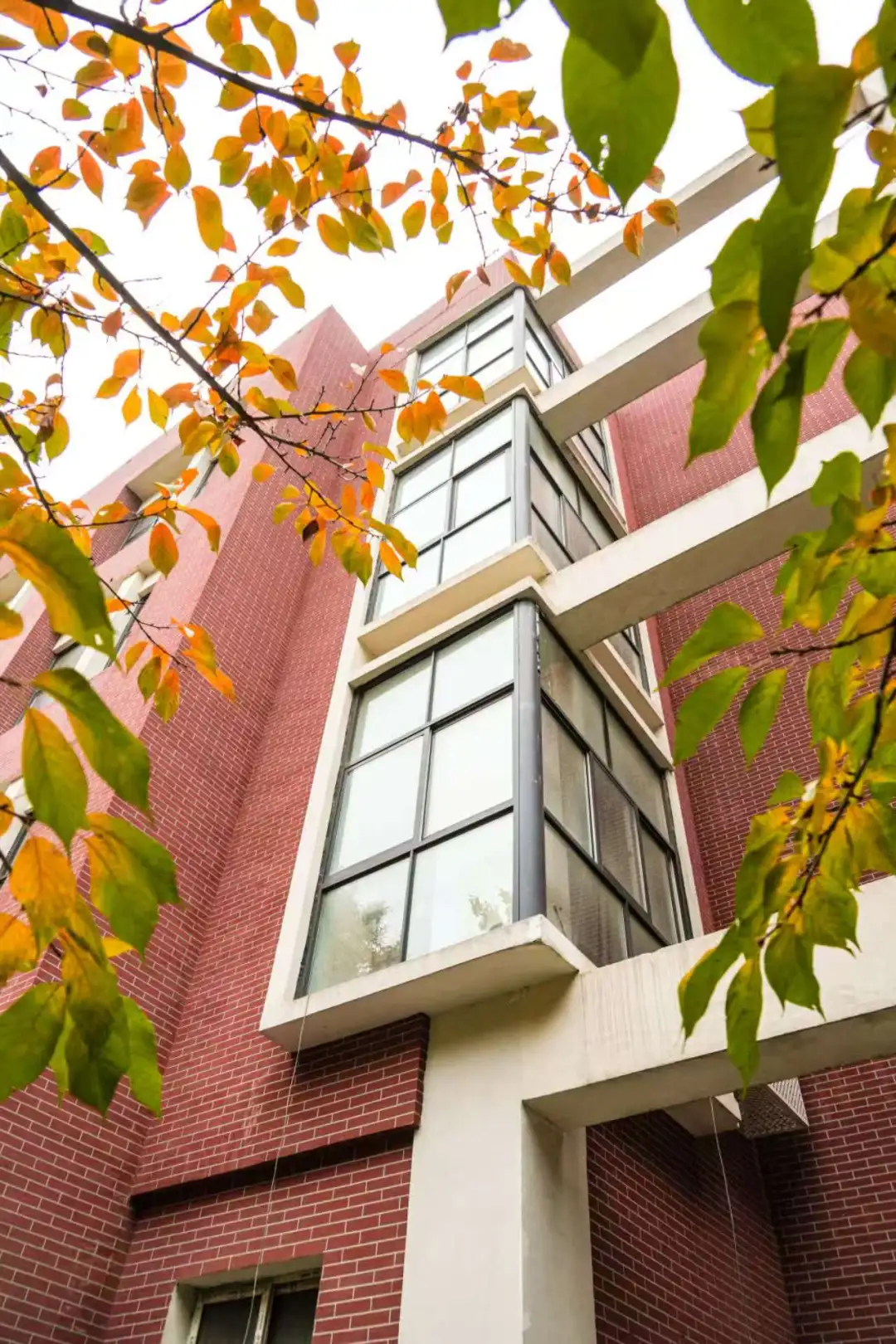 西安交通大学附属中学国际课程中心 日本留学方向招生简章