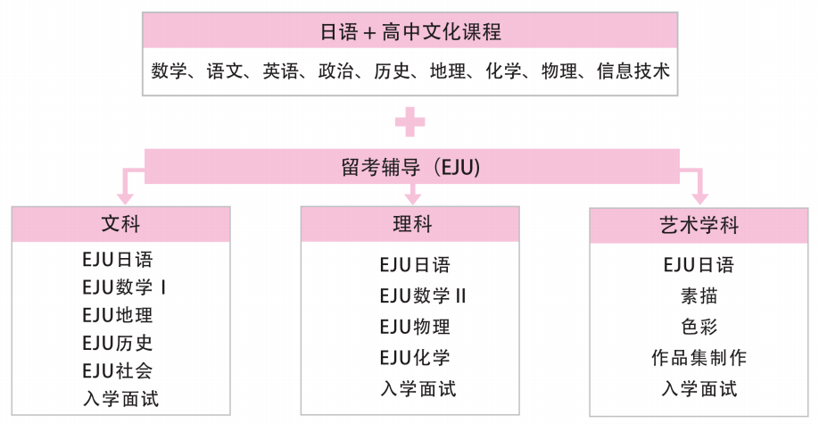 养孩子如种庄稼？朝阳义塾的16年，藏着日本留学的 “不焦虑” 答案