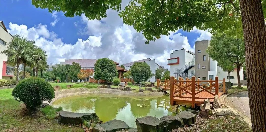 择校圈上海探校：美达菲、科桥、宏润博源、金瑞，谁才是你的菜？