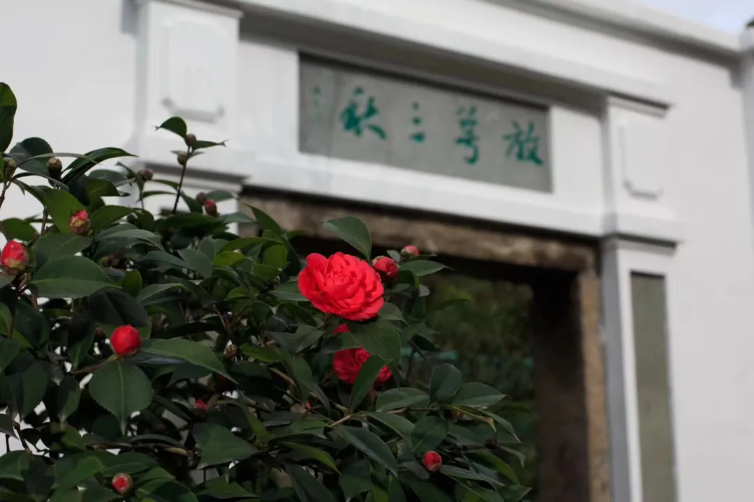 温州国际高中|瑞安中学国际部2025年招生简章！学费10.8万一年！开设香港DSE和AP课程！