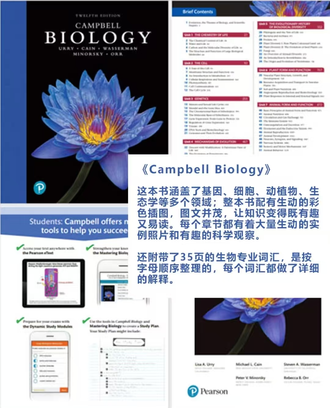 IB生物这么难学？IB生物都学什么？IB生物学习资料分享