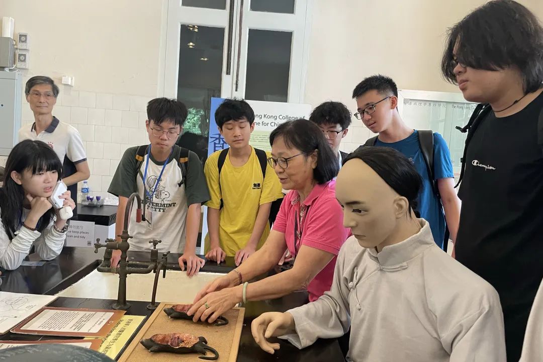 最全医学类合集：临床医学/心理学/兽医学/运动科学，一文搞定！