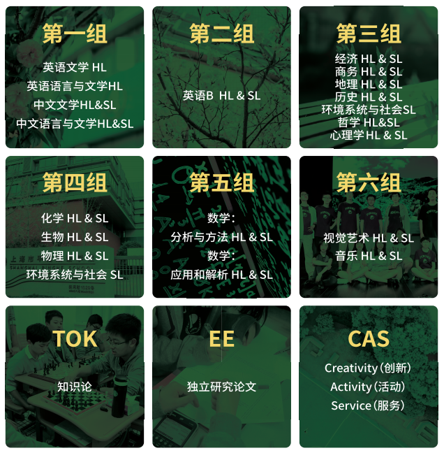 上海IBDP学校排名！附IBDP暑期课程！
