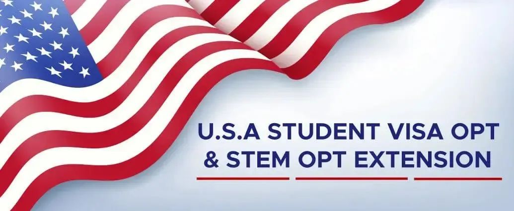 美国留子口中常说的OPT是什么？