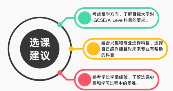 深国交IGCSE选课全攻略：流程、设置与要点一文全覆盖！
