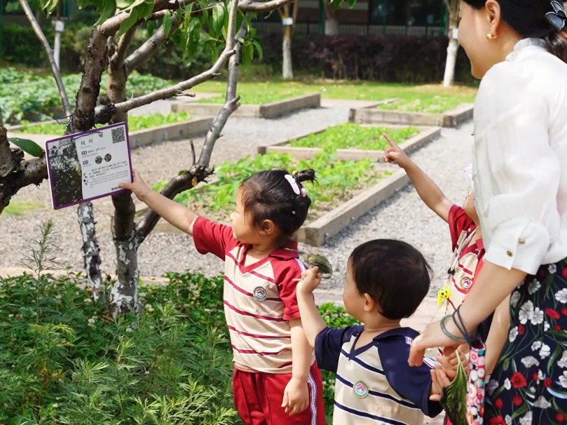 昆山国际学校｜康桥学校昆山校区2025年秋季招生简章！昆山热门国际学校