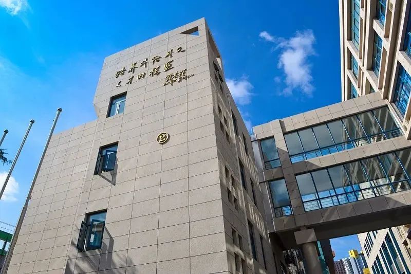 选国际校先看这三类！公办国际部凭什么成为150+所学校里的“性价比之王”？