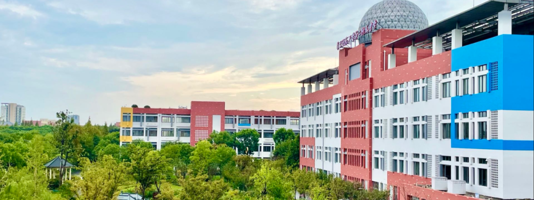 选国际校先看这三类！公办国际部凭什么成为150+所学校里的“性价比之王”？