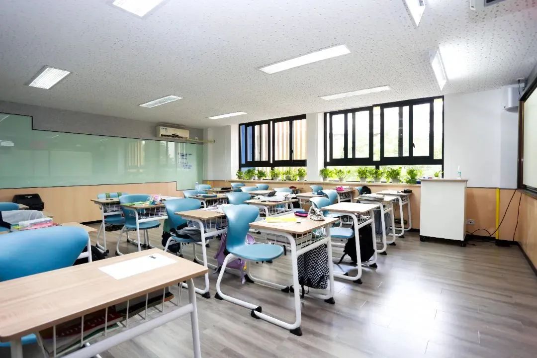 上海长宁区国际高中学校｜上海新虹桥中学国际部，开设DSE课程、OSSD课程及美高AP课程！
