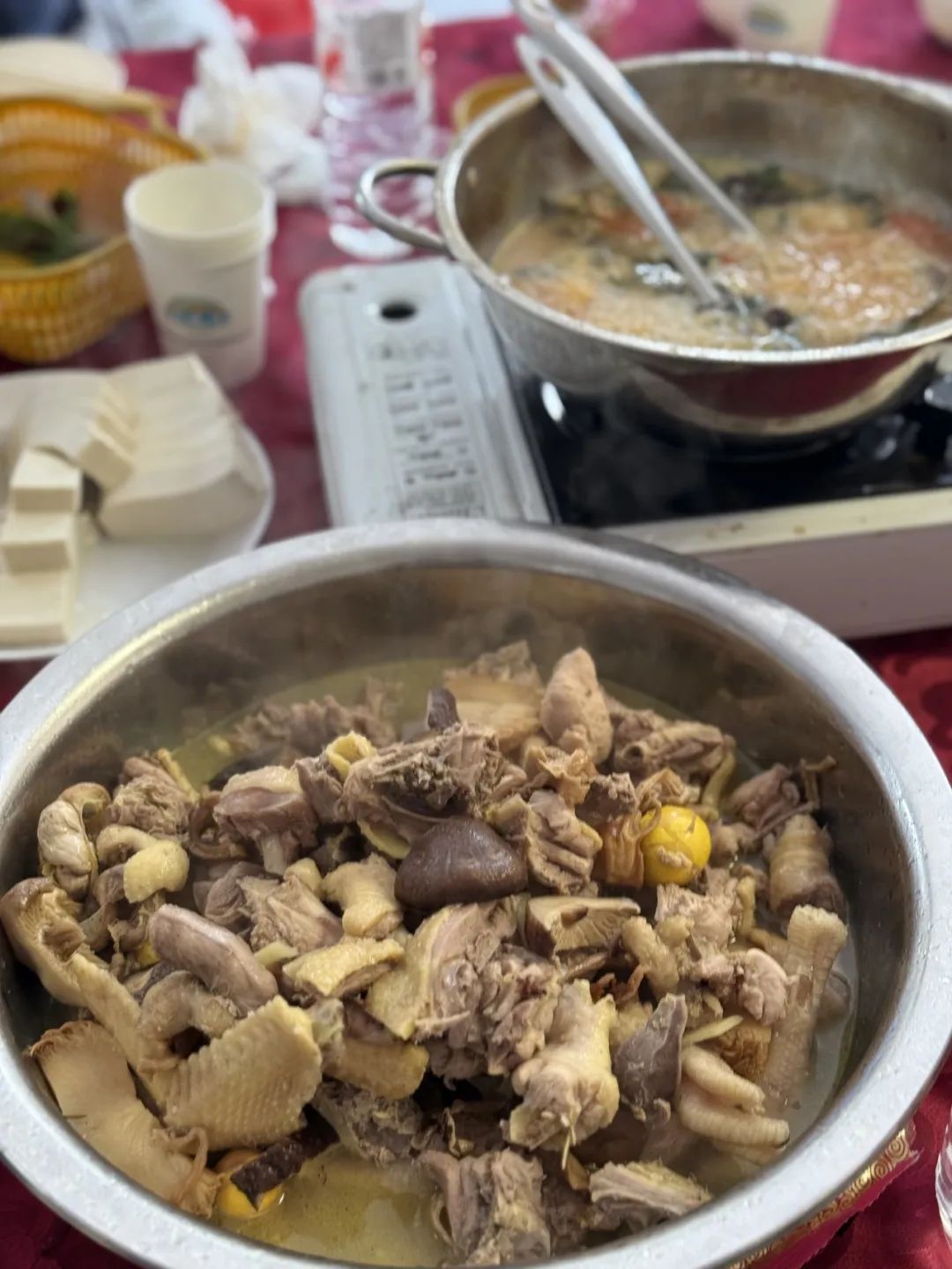 向往的生活｜农场研学沉浸式体验有机农耕