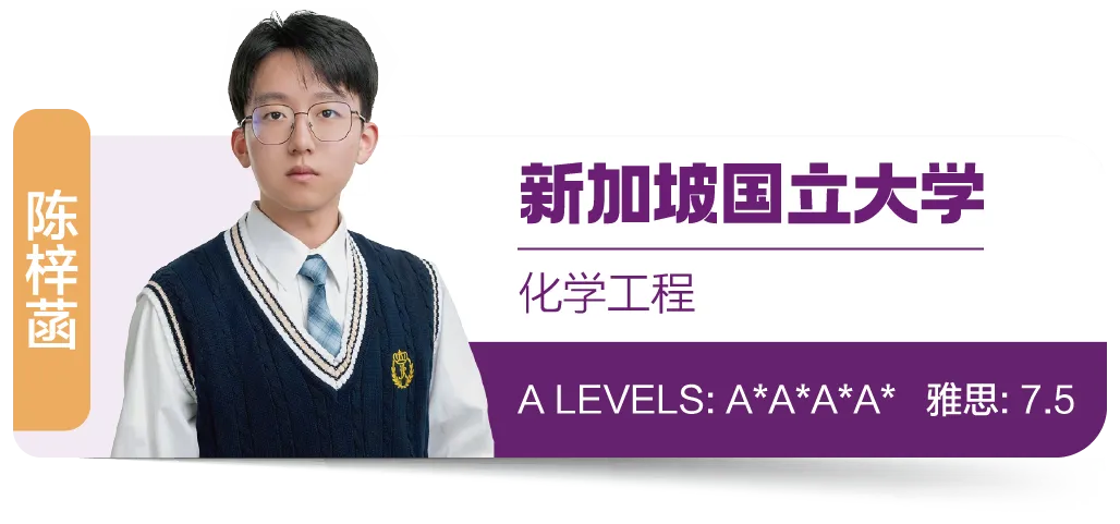 南京公办国际部｜南京雨花台中学国际部2025年秋季招生简章！英联邦、日本、德国、美国、艺术五大升学方向！