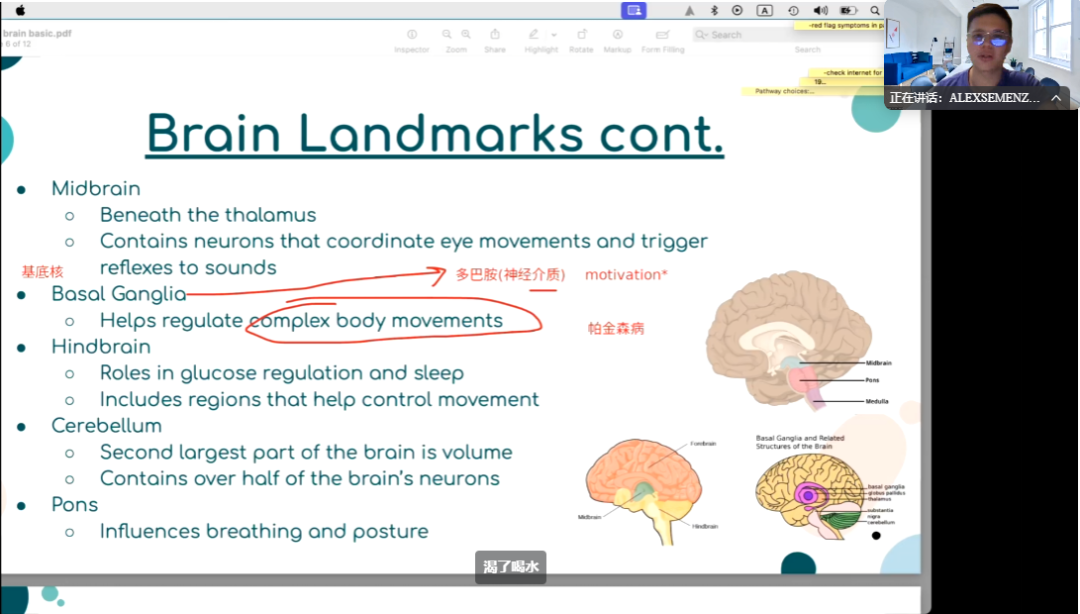 一文详解BrainBee脑科学活动含金量及比赛规则！附BrainBee教材+课程~