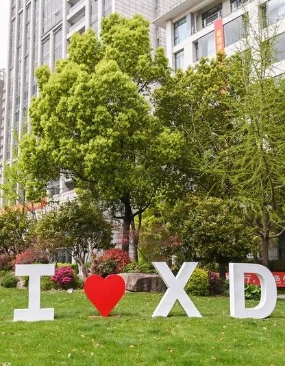 2025上海外国语大学贤达经济人文学院2+2国际本科项目