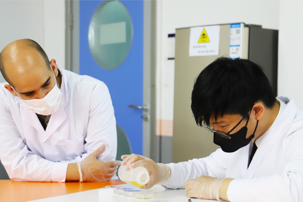 上海闵行区国际高中学校丨上海诺美高级中学，开设美高AP及Alevel课程，包含艺术、音乐、体育及科创四大方向！