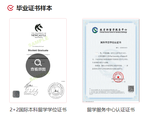 2025年山东理工大学2+2国际本科招生简章！