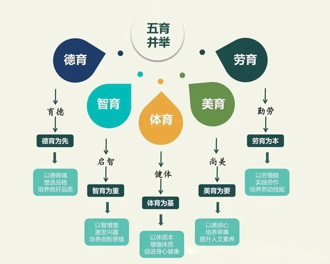 什么是“五育”？红领巾星章取消，五育或将成为上海三公新配置？（附三公备考课程）