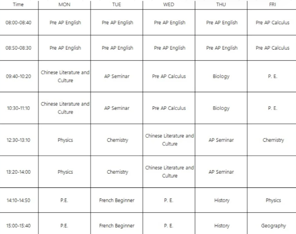 北京第一梯队公办国际部10年级学什么？开学分班考什么？