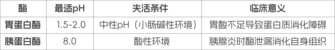 IGCSE 生物从C到A*的救星！IG生物21章核心考点全拆解