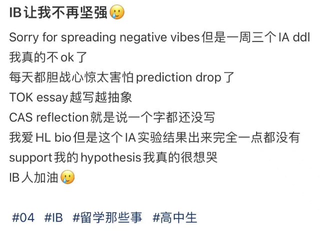 IB课程公认最难？很多人误解了！机构IB课程培训班：让【难】变【跳板】~