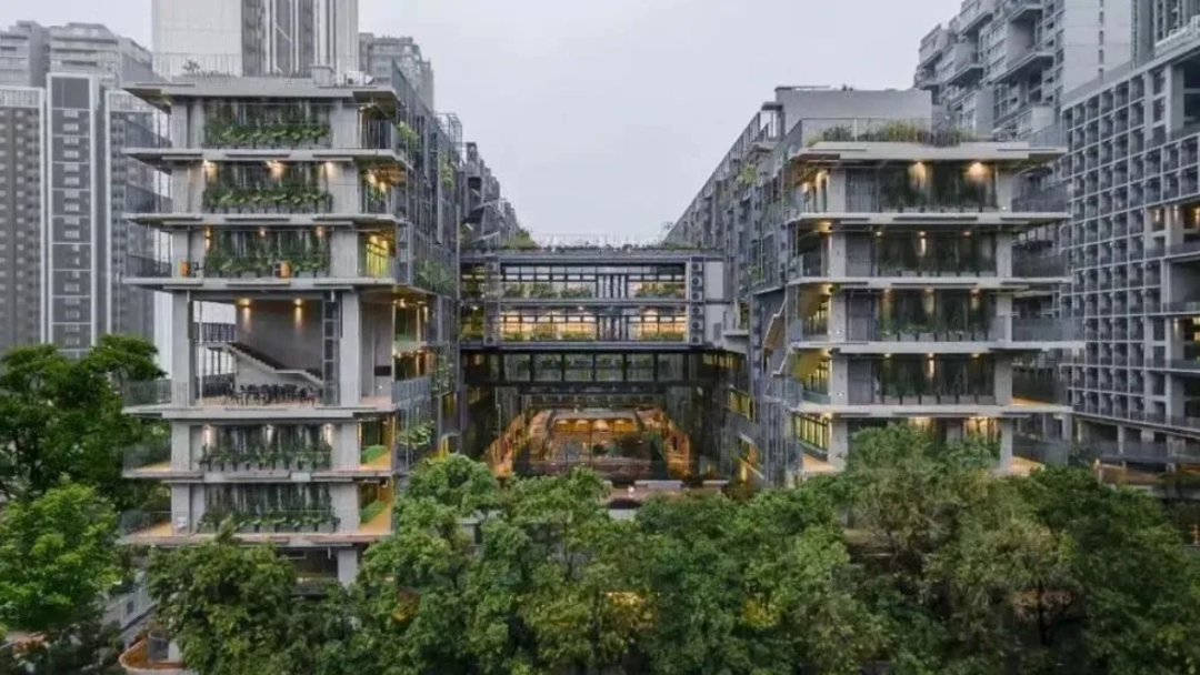 国际学校推荐｜深圳国际交流书院