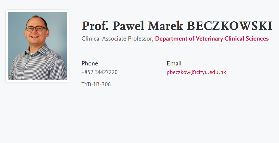 香港城市大学全奖博士招生(Prof. Pawel Marek BECZKOWSKI)