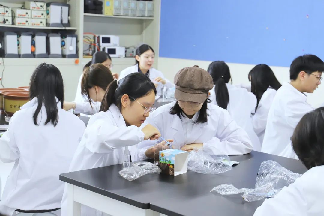 诺美夏校 | 在诺美校园解锁第一块“成长拼图！