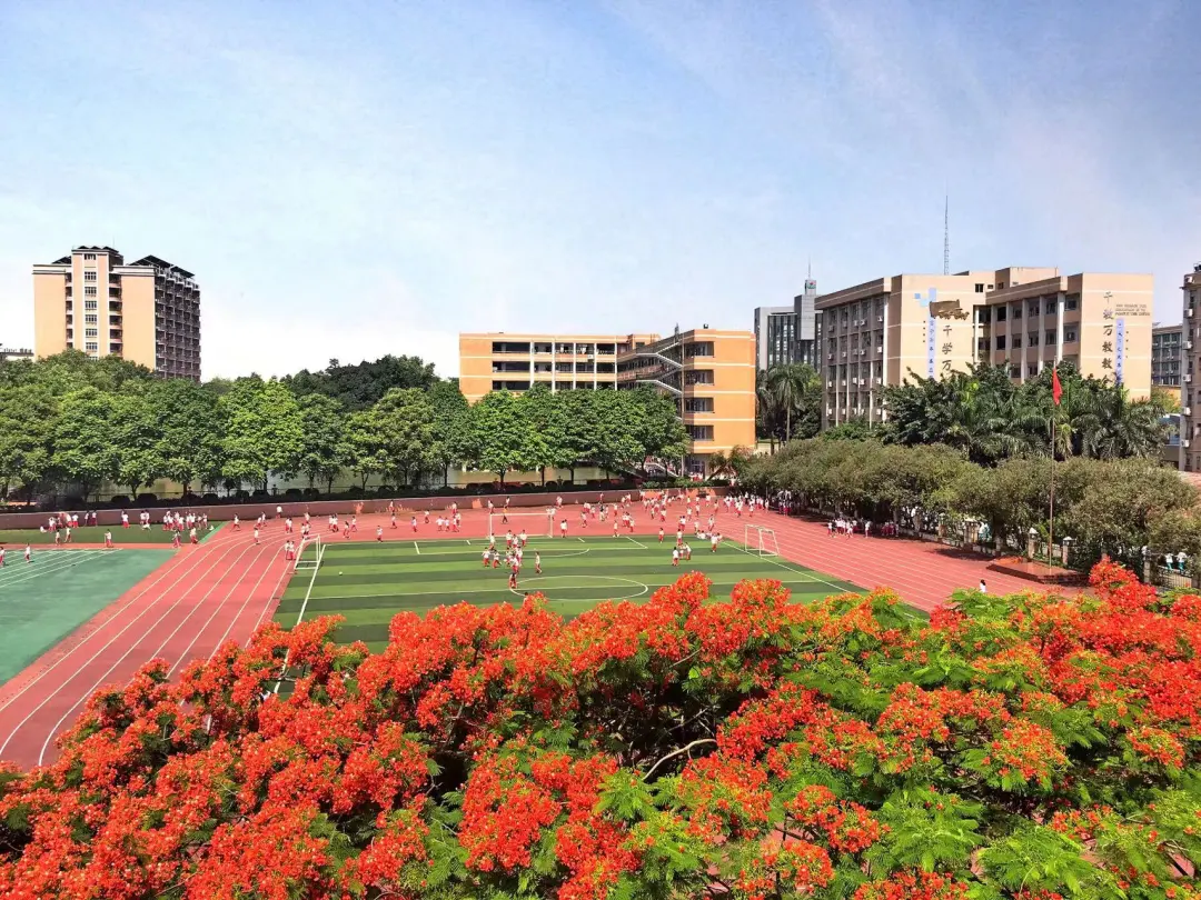 广州日本高中｜广外外校中日高中课程国际美术班2025年招生简章！