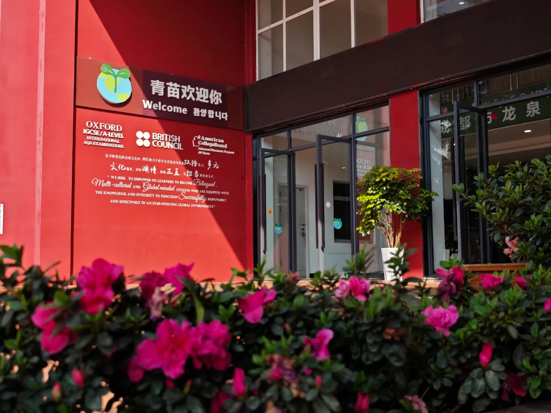 成都国际学校｜成都市龙泉驿区青苗学校2025年招生简章！K12一贯制国际学校！