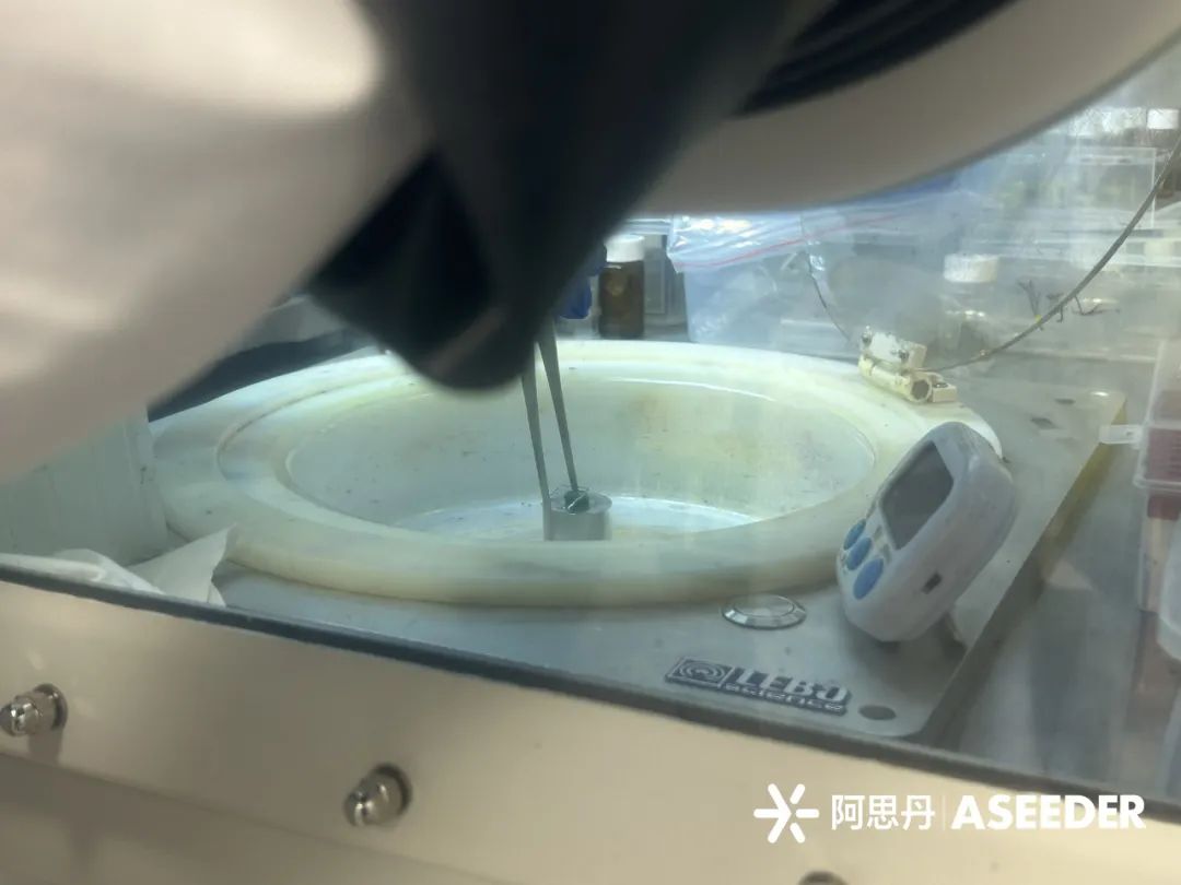 【26寒假即将开放】在苏州参加牛津官方夏校，亲手制作一块第三代太阳能电池！