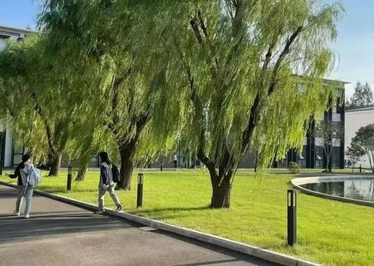 上实剑桥国际高中怎么样？26年春招考试时候？