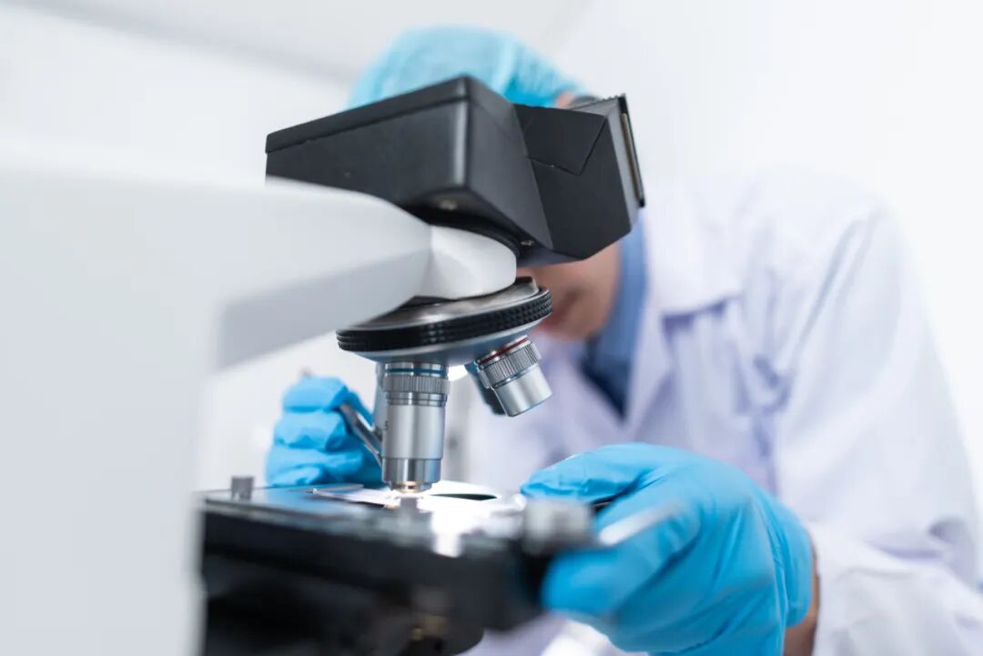 抗肿瘤药物的原理、研发与临床应用研究 | 复旦大学青年研究员科研项目