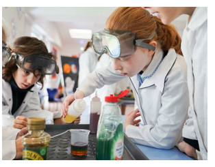 2025年英国最佳私校奖项获得学校之一，弗朗西斯霍兰预备学校（Francis holland prep school）学校介绍