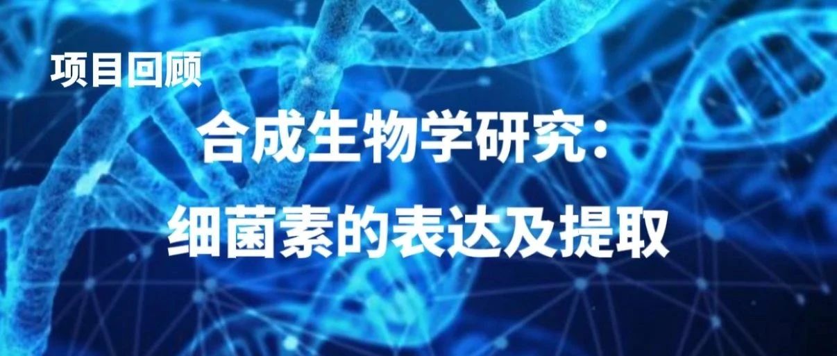 科研项目回顾｜合成生物学研究：细菌素的表达及提取