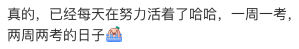 还没喘气就考试！在这些美国大学读书，是高效还是折磨？