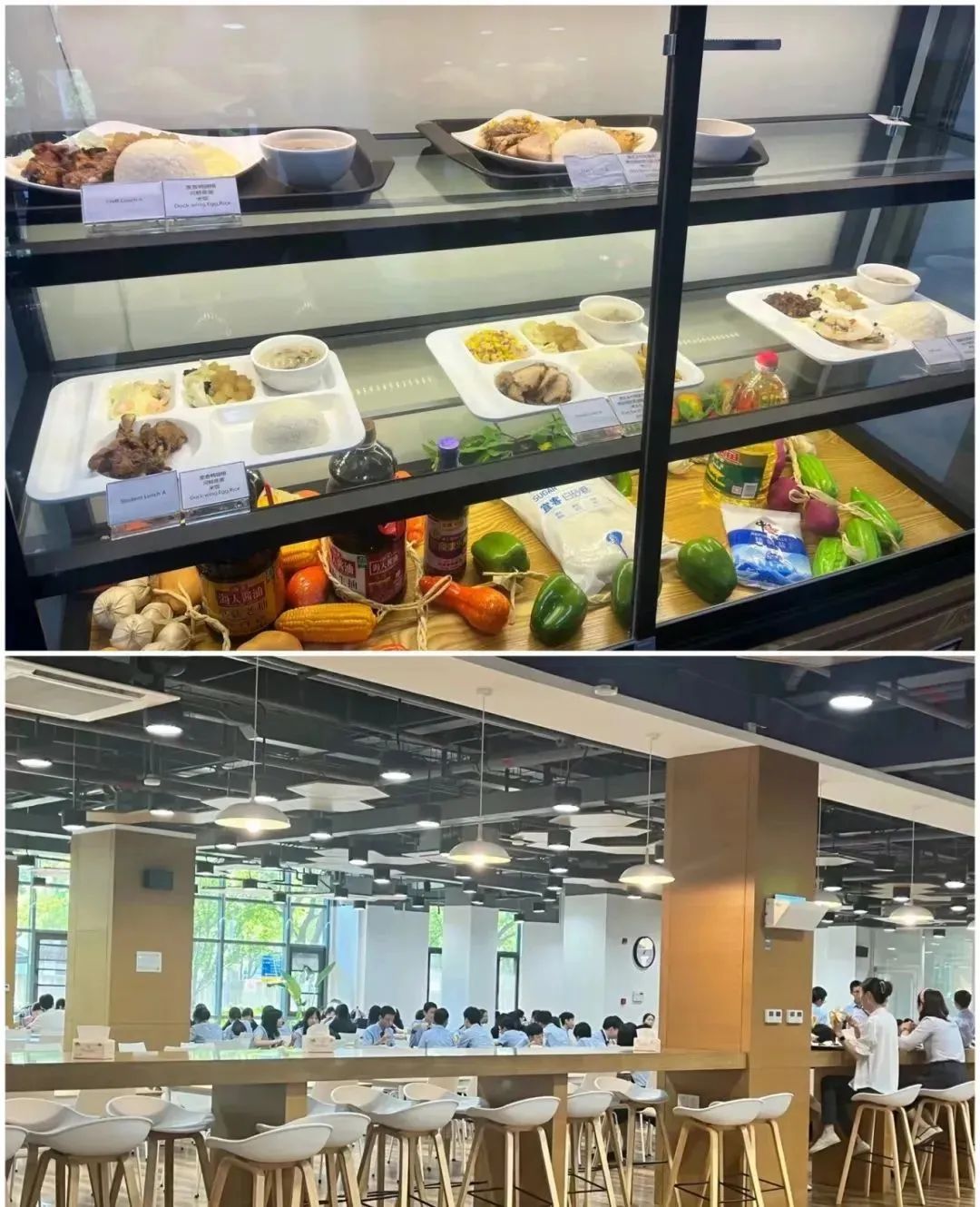 孩子在校吃什么？来看看动辄10w+学费的上海国际学校吃得值不值！