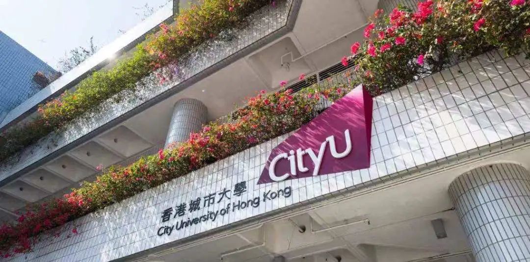 香港城市大学全奖博士招生 | Prof. DAI（606）