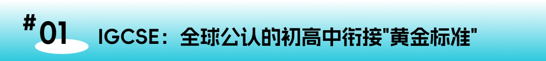 IGCSE 解锁全球教育通行证：一文读懂IG孩子未来国际赛道的关键起点