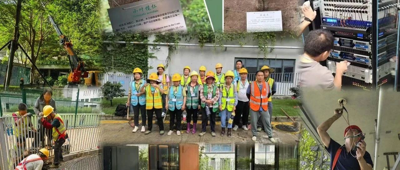 风雨火变奏曲——2025年深圳国际交流书院暑期工程回顾
