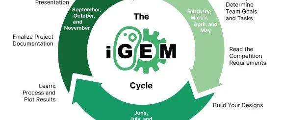 2025 iGEM 国际基因工程机器大赛备赛指南！