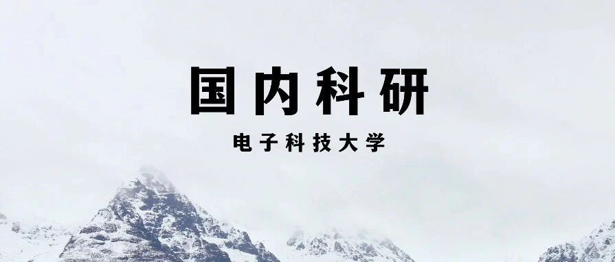 电子科技大学副教授科研项目：微处理器下的数字集成电路及芯片设计研究