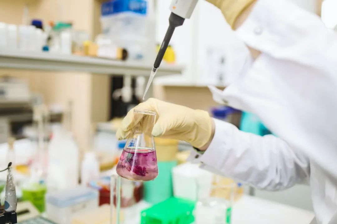 复旦大学正教授科研项目：有机合成路径设计与应用研究
