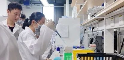 暑期实践｜深圳基因表达项目体验