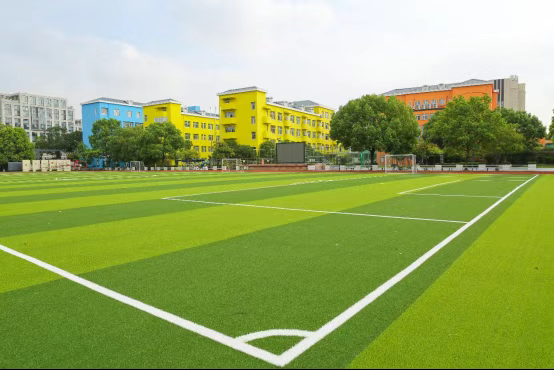 上海择校|上海市民办德英乐实验学校