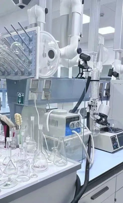 上海择校|上海外国语大学附属外国语学校国际部