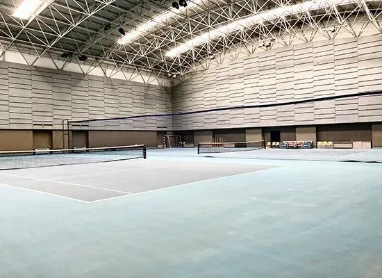 北京国际学校丨北京青苗领科Alevel中心